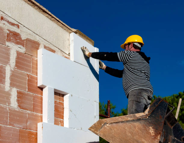Best Best Insulation Companies  in Roebuck, SC