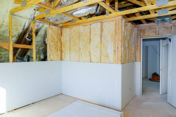 Best Professional Insulation Contractor  in Roebuck, SC