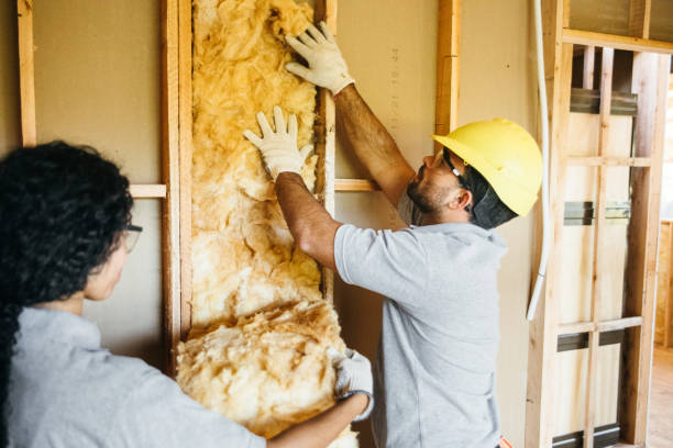 Best Insulation for New Construction  in Roebuck, SC
