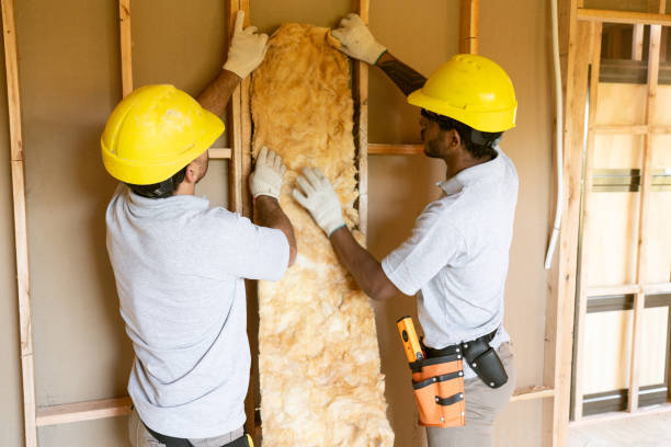 Best Professional Insulation Contractor  in Roebuck, SC