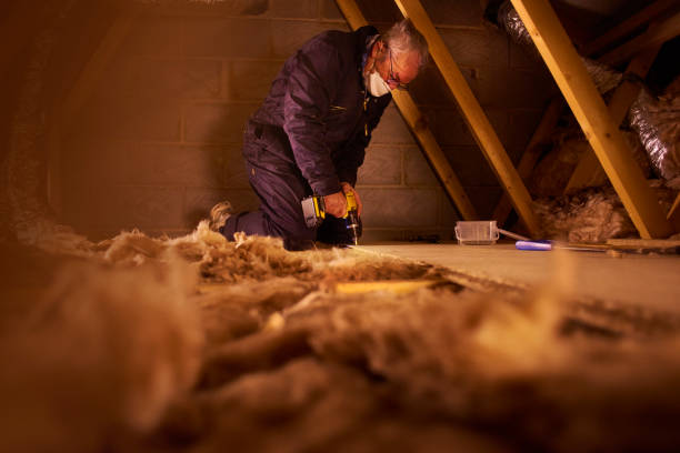 Best Crawl Space Insulation  in Roebuck, SC